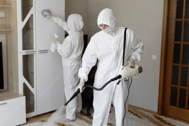 Professional Mold Removal in Pea Ridge, AR